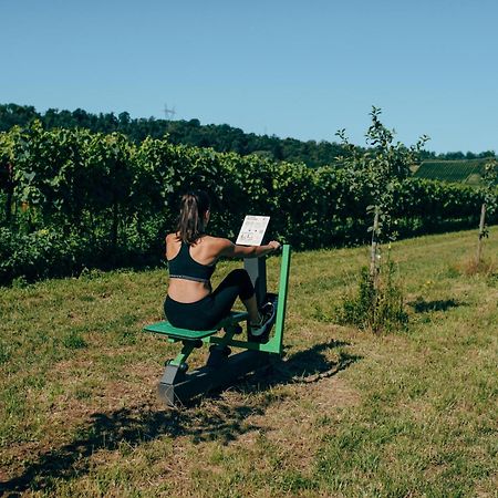 Agriturismo Pratello Padenghe sul Garda Kültér fotó