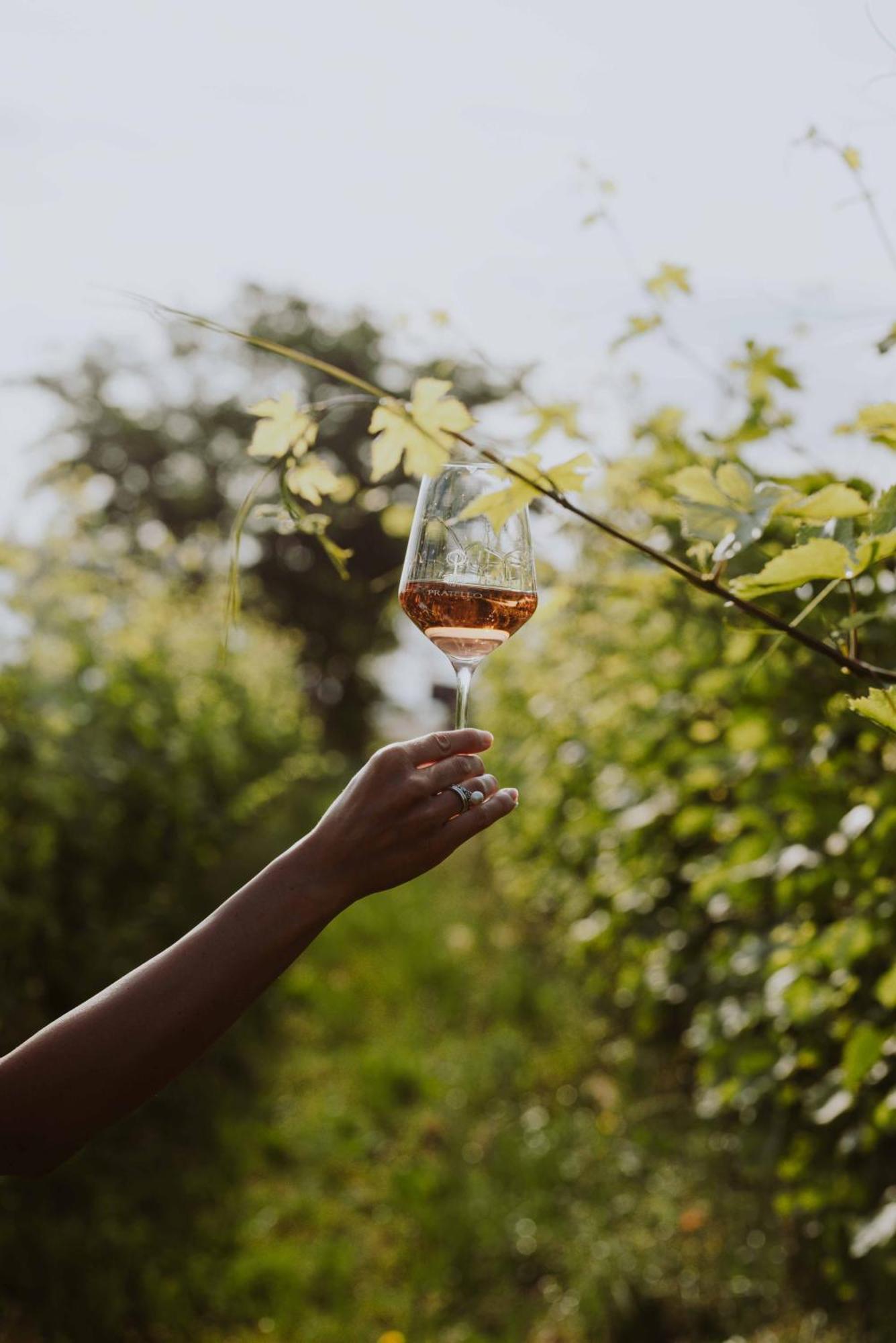 Agriturismo Pratello Padenghe sul Garda Kültér fotó